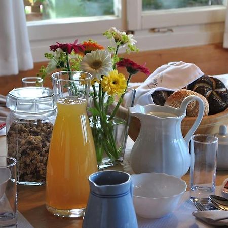 Grosszuegige Ferienwohnung Am Skigebiet Boedele Mit Rheintalblick Dornbirn Eksteriør billede