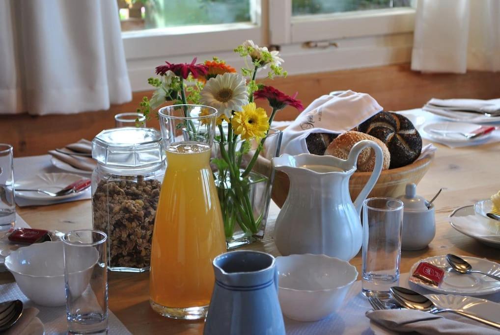Grosszuegige Ferienwohnung Am Skigebiet Boedele Mit Rheintalblick Dornbirn Eksteriør billede