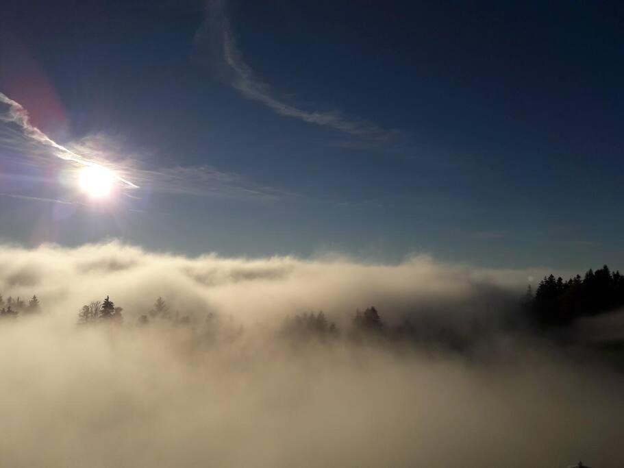 Grosszuegige Ferienwohnung Am Skigebiet Boedele Mit Rheintalblick Dornbirn Eksteriør billede